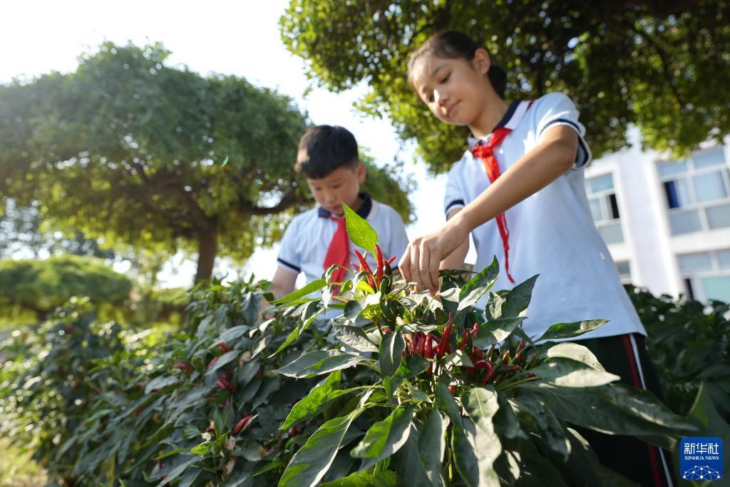 澳门JS集团